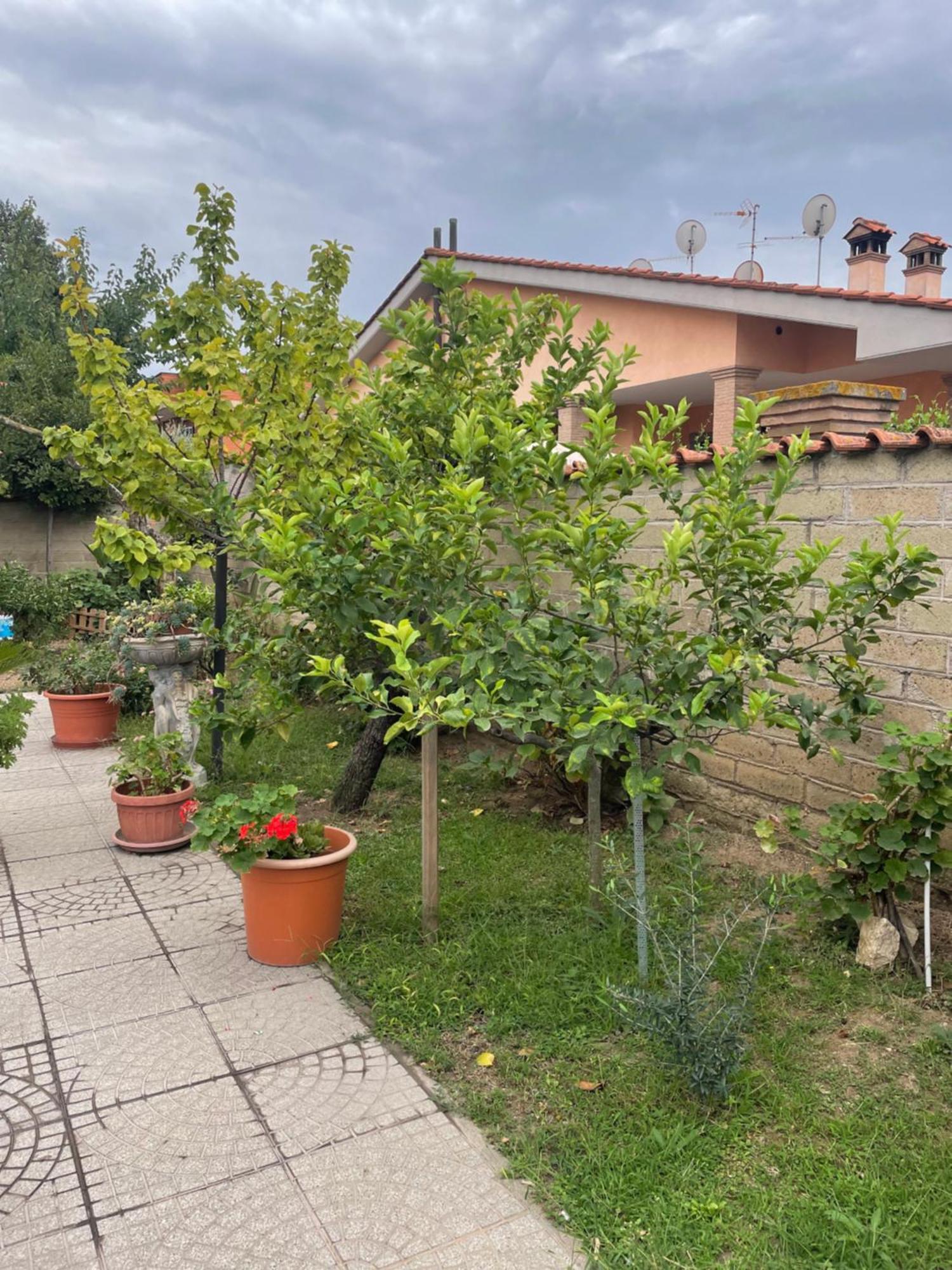 Un Sogno Nel Verde Stadtviertel Stadtviertel Acilia Exterior foto